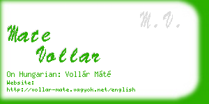 mate vollar business card